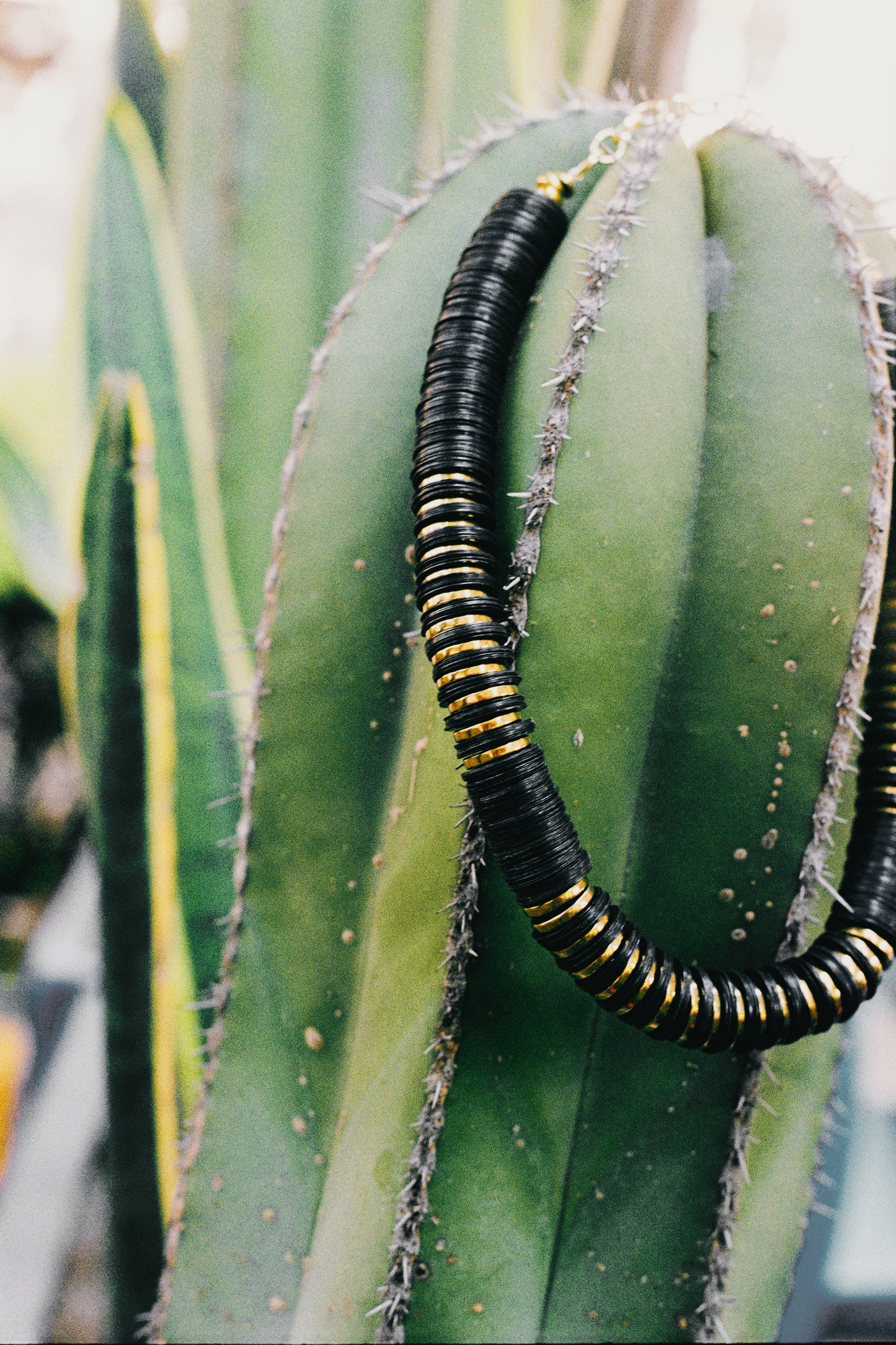 Jaipur Black Aura Oro