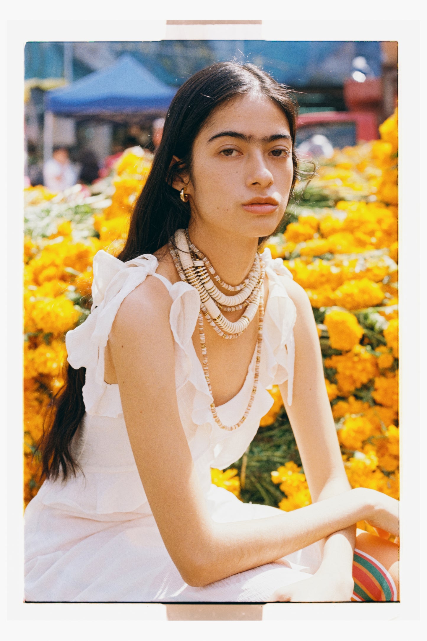 Jaipur White Aura Oro