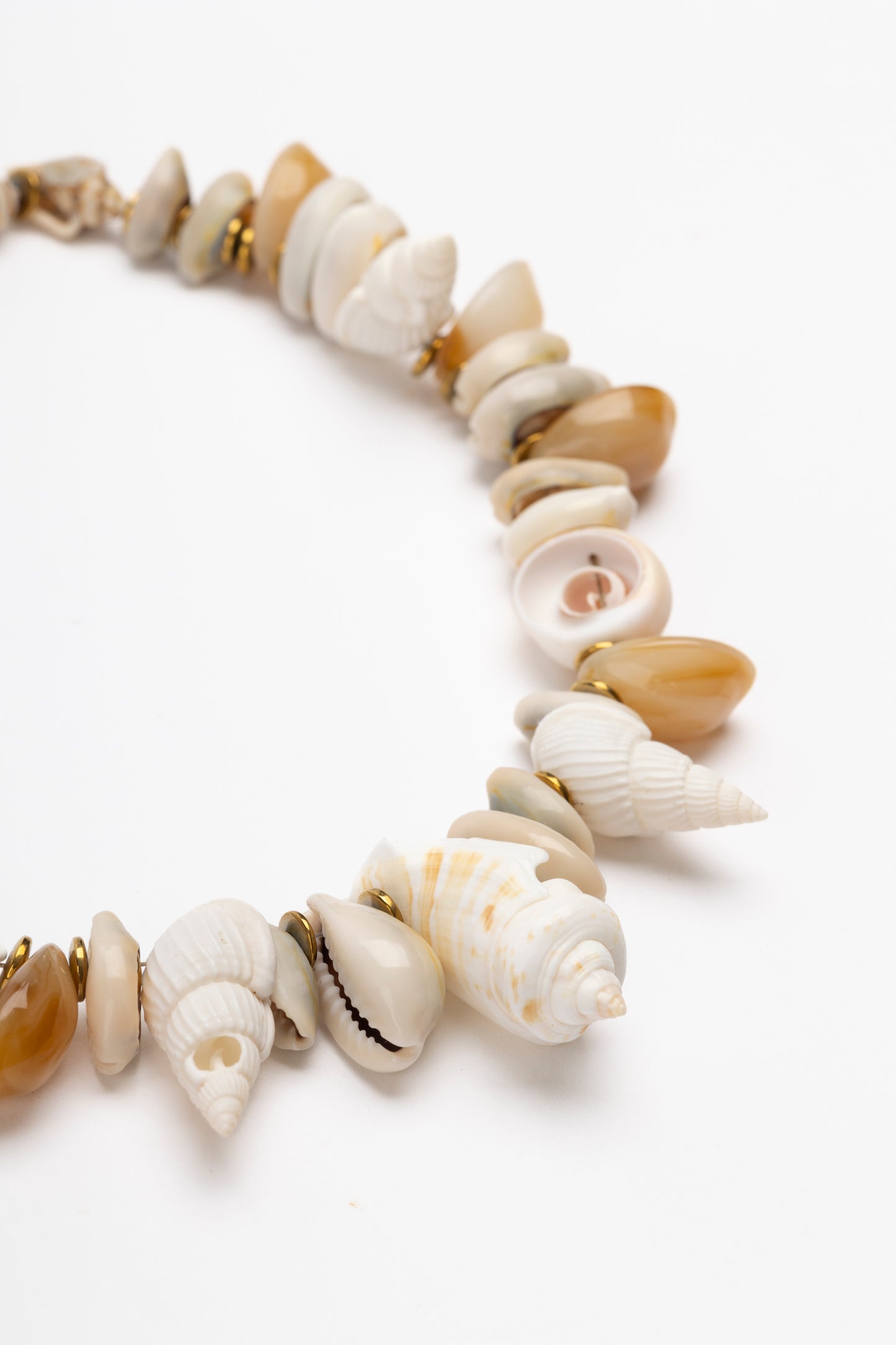 Mar Molti Cowries