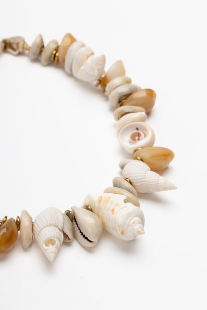 Mar Molti Cowries