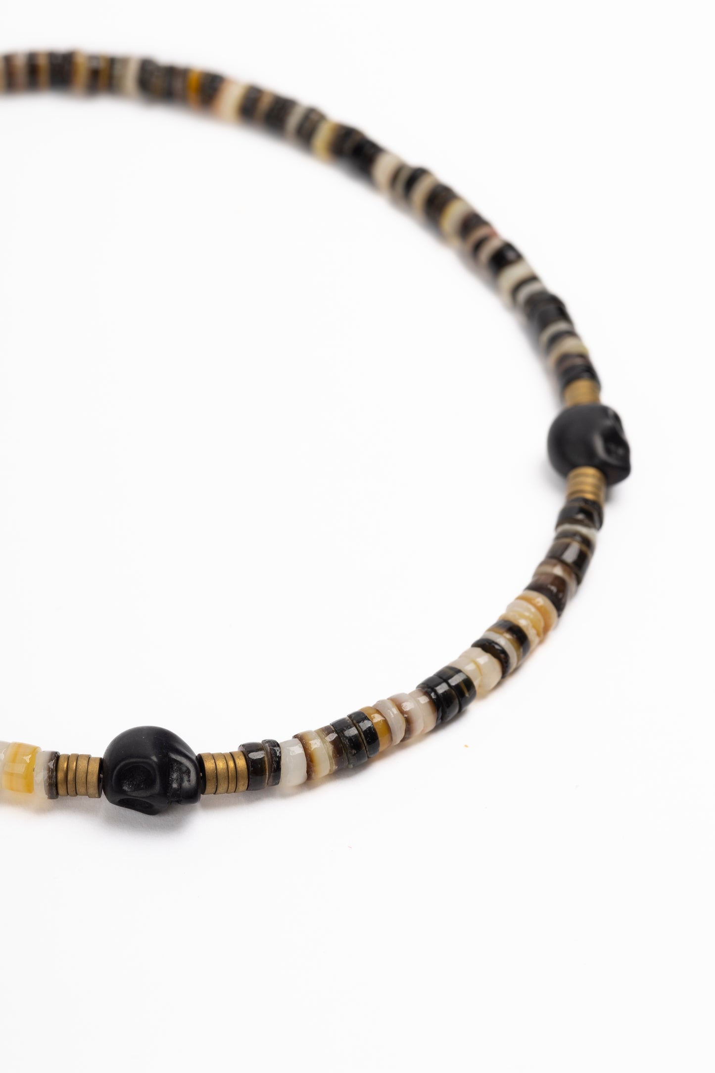 Hijo Oyster Calvaria